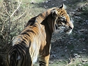 Kids_DZoo_WarmDays (22)